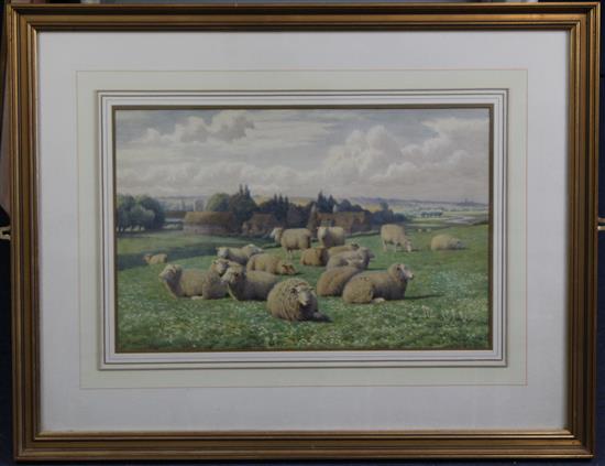 William Sidney Cooper (1854-1927) Sheep in a Kentish meadow, 12.5 x 19.5in.